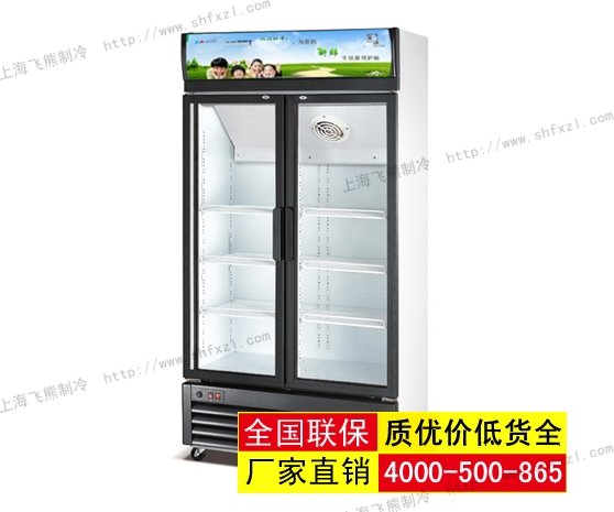 双门药品阴凉柜