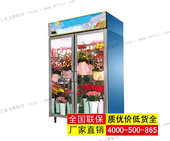 大二门鲜花保鲜柜